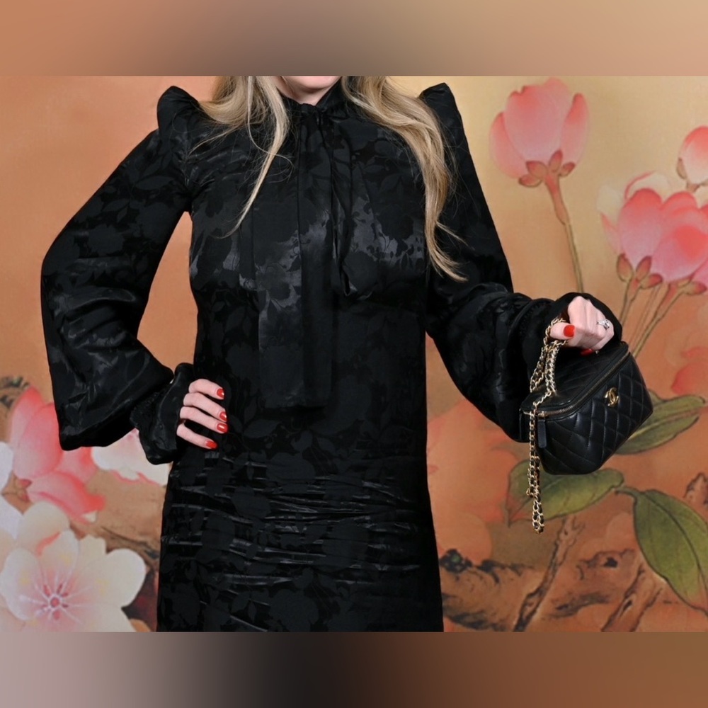 The Vampire’s Wife “Storm From The Shelter” Jacquard Dress – Black (Rare) - Picture 7 of 11
